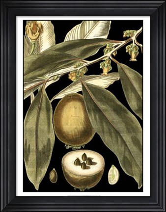 Framed Tranquil Tropical Leaves IV Print