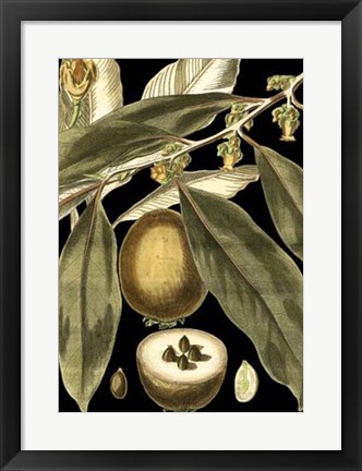 Framed Tranquil Tropical Leaves IV Print