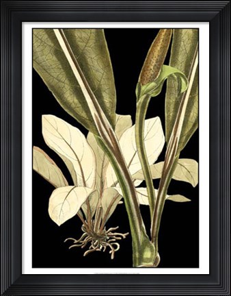 Framed Tranquil Tropical Leaves V Print