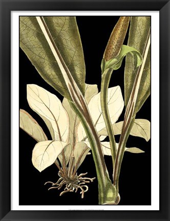 Framed Tranquil Tropical Leaves V Print