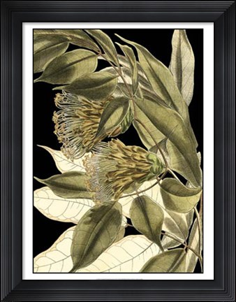 Framed Tranquil Tropical Leaves VI Print