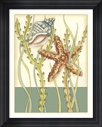 Framed Shell Season I Print