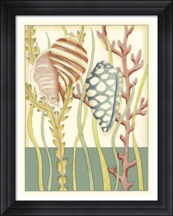 Framed Shell Season II Print