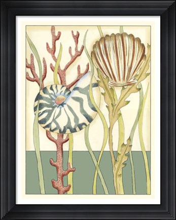 Framed Shell Season III Print