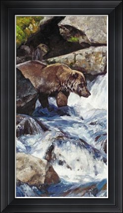 Framed Salmon Zen Print