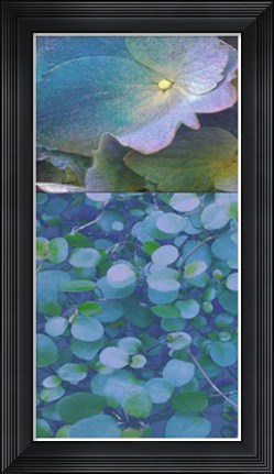 Framed Hydrangea Mix I Print