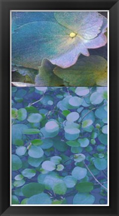 Framed Hydrangea Mix I Print