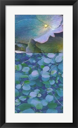 Framed Hydrangea Mix I Print