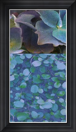 Framed Hydrangea Mix II Print