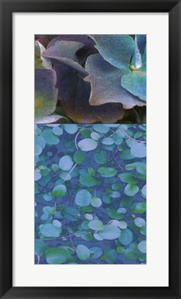 Framed Hydrangea Mix II Print