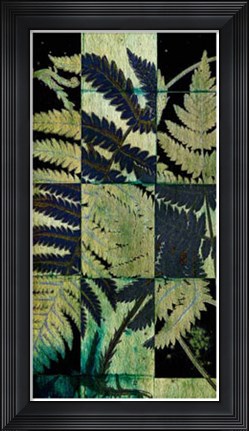 Framed Midnight Ferns I Print