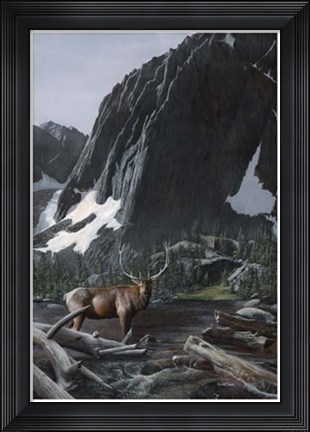 Framed Mountainside Elk I Print