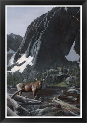 Framed Mountainside Elk I Print