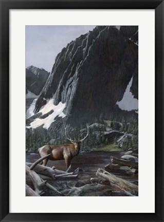 Framed Mountainside Elk I Print