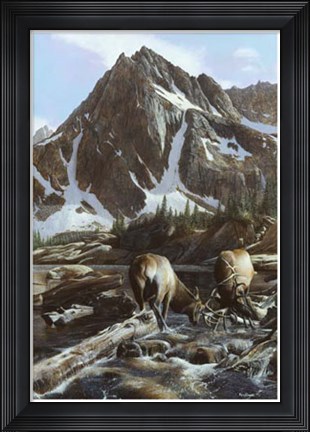 Framed Mountainside Elk II Print