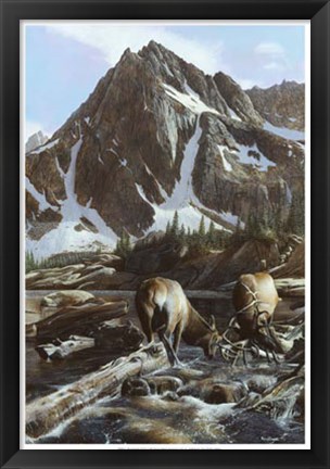 Framed Mountainside Elk II Print