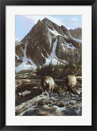 Framed Mountainside Elk II Print