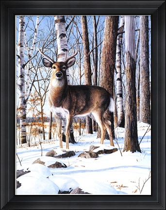 Framed Simply Curious I Print