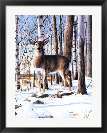 Framed Simply Curious I Print