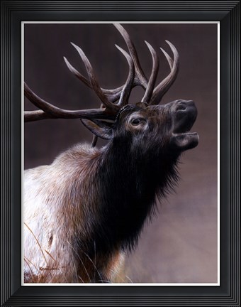Framed American Icon- Elk Print