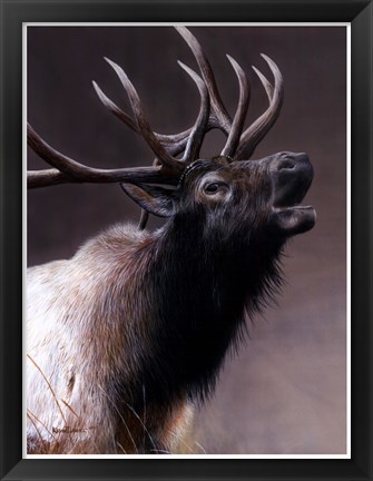 Framed American Icon- Elk Print