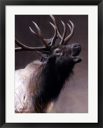 Framed American Icon- Elk Print