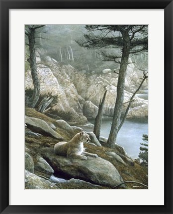 Framed Cougar Print