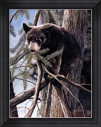 Framed Out on a Limb Print