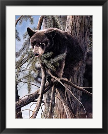 Framed Out on a Limb Print