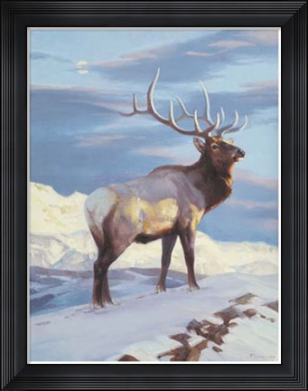 Framed Royal Morning Print