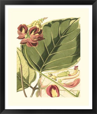 Framed Fantastical Botanical I Print