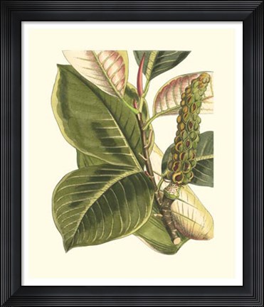 Framed Fantastical Botanical IV Print