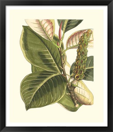 Framed Fantastical Botanical IV Print