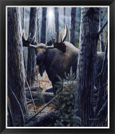 Framed King of the Northwoods Print