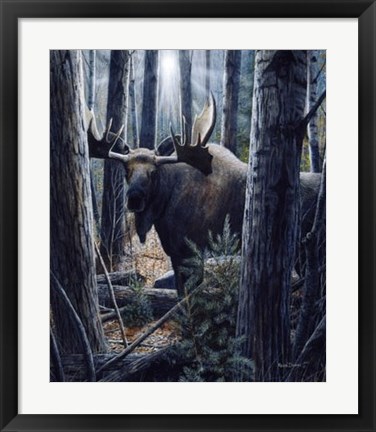 Framed King of the Northwoods Print