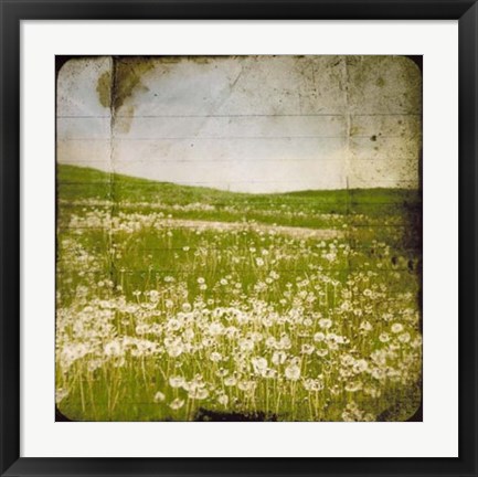 Framed Field I Print