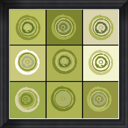 Framed Concentric Sage Print