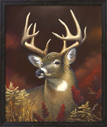 Framed Deer Portrait Print