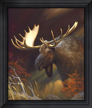 Framed Moose Portrait Print