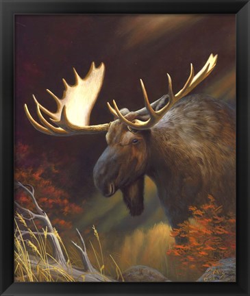 Framed Moose Portrait Print