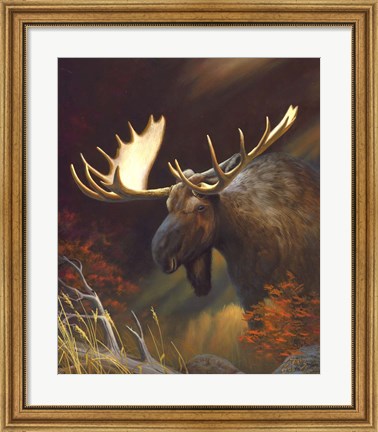 Framed Moose Portrait Print