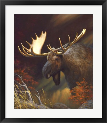 Framed Moose Portrait Print