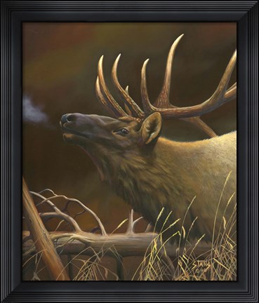 Framed Elk Portrait I Print