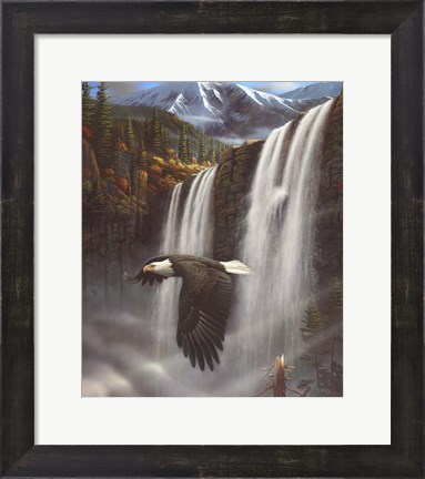 Framed Eagle Portrait Print
