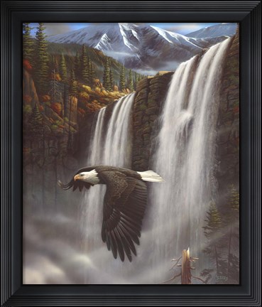 Framed Eagle Portrait Print