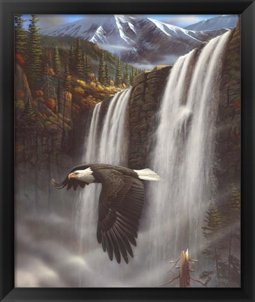 Framed Eagle Portrait Print