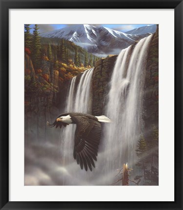 Framed Eagle Portrait Print