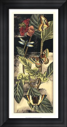 Framed Nature's Delight I Print