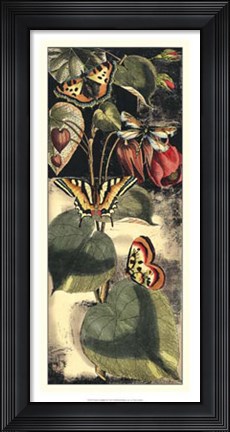 Framed Nature's Delight II Print