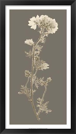 Framed Taupe Nature Study I Print